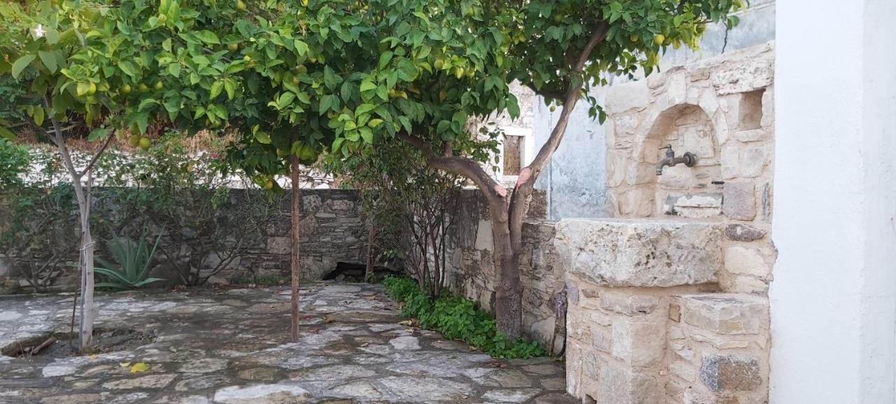 Traditional House In Asfendiou Agios Dimitrios  Exterior foto